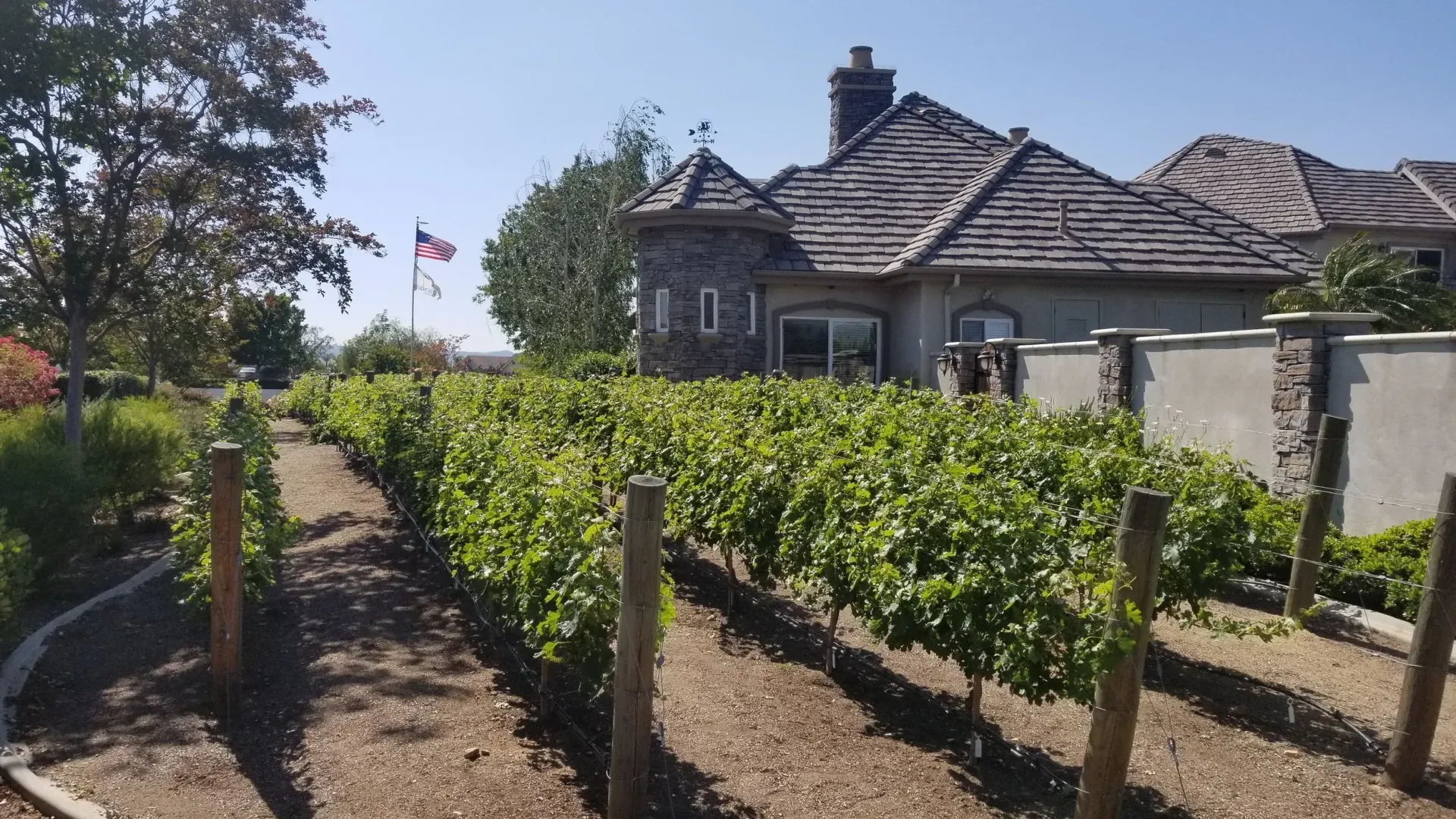 Vineyard framing a stone estate home